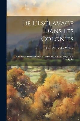 De L'Esclavage Dans Les Colonies: Pour Servir D'Introduction a L'Histoire De L'Esclavage Dans L'Antiquité - Henri Alexandre Wallon - cover