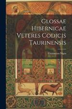 Glossae Hibernicae Veteres Codicis Taurinensis