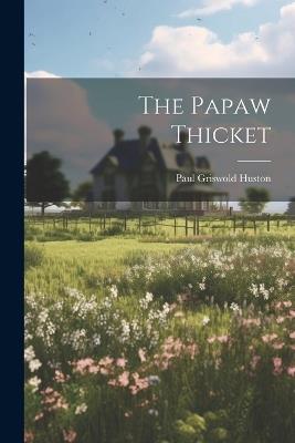 The Papaw Thicket - Paul Griswold Huston - cover