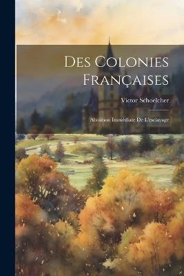 Des Colonies Françaises: Abolition Immédiate De L'esclavage - Victor Schoelcher - cover