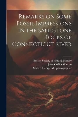 Remarks on Some Fossil Impressions in the Sandstone Rocks of Connecticut River - George M Silsbee,John Collins Warren - cover