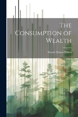 The Consumption of Wealth - Simon Nelson Patten - cover