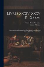 Livres Xxxiv, Xxxv Et Xxxvi: Observations Sur La Statue De Marc-aurele Et Sur D'autres Objets Relatifs Aux Beaux-arts