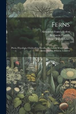 Ferns: Pteris, Hypolepis, Cheilanthes, Doodia, Blechnum, Woodwardia, Stenochlaena, Brainea, Lomaria - Edward Joseph Lowe,Benjamin Fawcett,Alexander Francis Lydon - cover