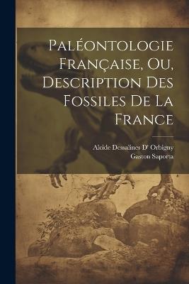 Paléontologie Française, Ou, Description Des Fossiles De La France - Alcide Dessalines D' Orbigny,Gaston Saporta - cover