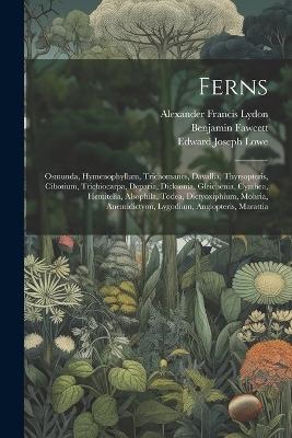 Ferns: Osmunda, Hymenophyllum, Trichomanes, Davallia, Thyrsopteris, Cibotium, Trichiocarpa, Deparia, Dicksonia, Gleichenia, Cyathea, Hemitelia, Alsophila, Todea, Dictyoxiphium, Mohria, Anemidictyon, Lygodium, Angiopteris, Marattia - Edward Joseph Lowe,Benjamin Fawcett,Alexander Francis Lydon - cover