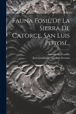 Fauna Fosil De La Sierra De Catorce, San Luis Potosí...