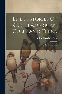 Life Histories Of North American Gulls And Terns: Order Longipennes - Arthur Cleveland Bent - cover