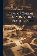 Views of Greene, N. Y. Indelible Photographs