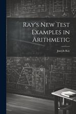Ray's New Test Examples in Arithmetic