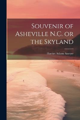 Souvenir of Asheville N.C. or the Skyland - Harriet Adams Sawyer - cover