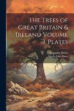 The Trees of Great Britain & Ireland Volume 3, Plates