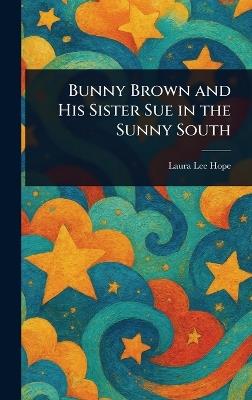 Bunny Brown and His Sister Sue in the Sunny South - Laura Lee Hope - cover