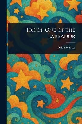 Troop One of the Labrador - Dillon Wallace - cover