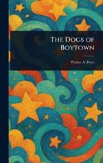 The Dogs of Boytown