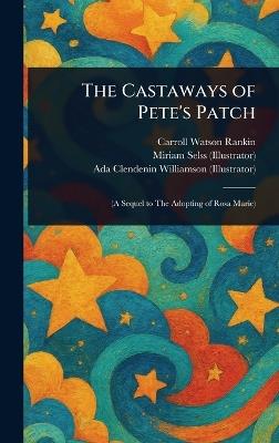 The Castaways of Pete's Patch - Carroll Watson Rankin,Miriam Selss,Ada Clendenin Williamson - cover