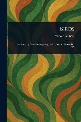 Birds - Various - cover