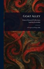 Goat Alley