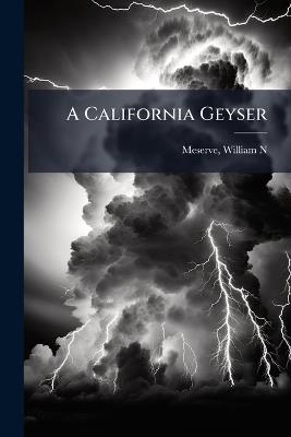 A California Geyser - Meserve William N - cover