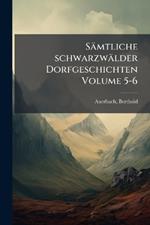 Sämtliche schwarzwälder Dorfgeschichten Volume 5-6
