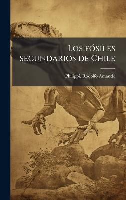 Los fÃ3siles secundarios de Chile - Rodolfo Amando Philippi - cover
