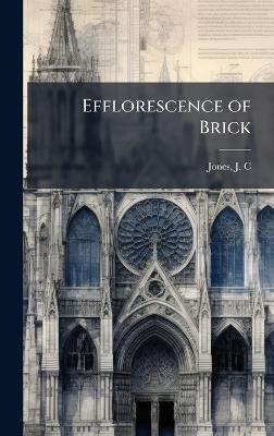 Efflorescence of Brick - J C Jones - cover