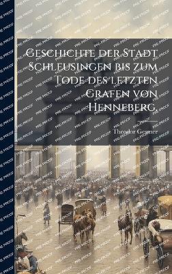 Geschichte der Stadt Schleusingen bis zum Tode des letzten Grafen von Henneberg. - Theodor Gessner - cover
