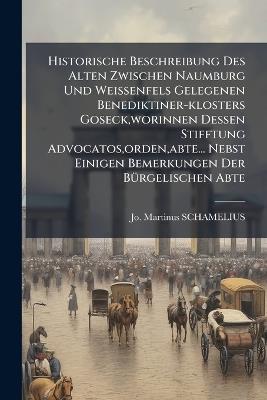 Historische Beschreibung Des Alten Zwischen Naumburg Und Weissenfels Gelegenen Benediktiner-klosters Goseck, worinnen Dessen Stifftung Advocatos, orden, abte... Nebst Einigen Bemerkungen Der BÃ1/4rgelischen Abte - Jo Martinus Schamelius - cover