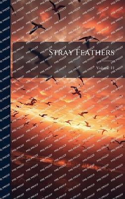 Stray Feathers - Anonymous - cover