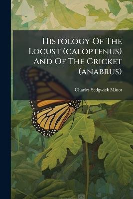 Histology Of The Locust (caloptenus) And Of The Cricket (anabrus) - Charles Sedgwick Minot - cover