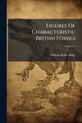 Figures Of Characteristic British Fossils - William Hellier Baily - cover