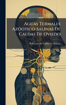 Aguas Termales AzÃ3otico-salinas De Caldas De Oviedo - cover