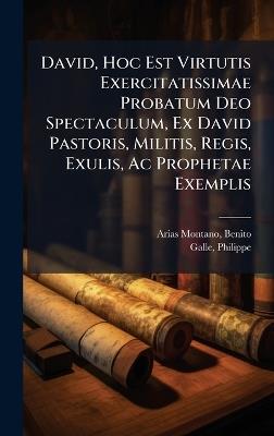 David, Hoc Est Virtutis Exercitatissimae Probatum Deo Spectaculum, Ex David Pastoris, Militis, Regis, Exulis, Ac Prophetae Exemplis - Philippe Galle - cover