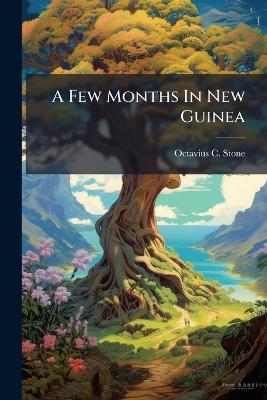 A Few Months In New Guinea - Octavius C Stone - cover