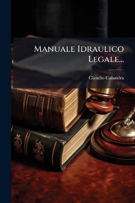 Manuale Idraulico Legale... - Claudio Calandra - cover