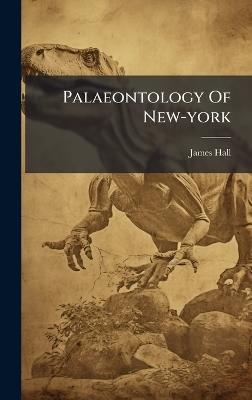 Palaeontology Of New-york - James Hall - cover