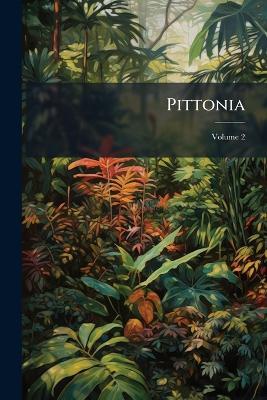 Pittonia - Anonymous - cover