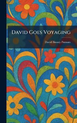 David Goes Voyaging - David Binney Putnam - cover