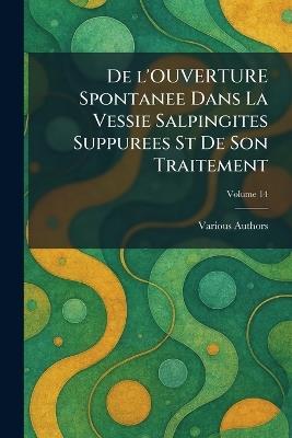de l'Ouverture Spontanee Dans La Vessie Salpingites Suppurees St de Son Traitement - cover