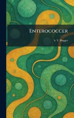 Enterococcer - S V Bagger - cover