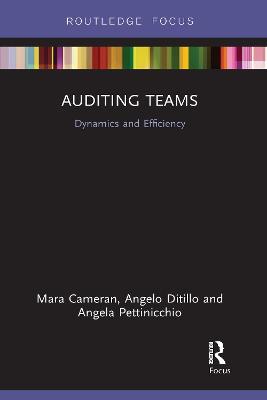 Auditing Teams: Dynamics and Efficiency - Mara Cameran,Angelo Ditillo,Angela Pettinicchio - cover