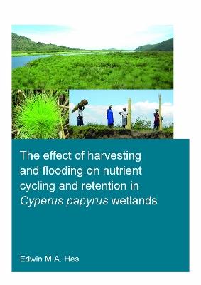 The effect of harvesting and flooding on nutrient cycling and retention in Cyperus papyrus wetlands - Edwin M.A. Hes - cover