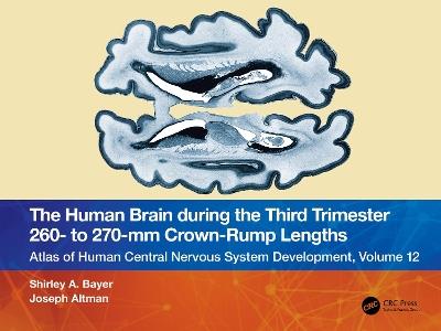 The Human Brain during the Third Trimester 260– to 270–mm Crown-Rump Lengths: Atlas of Central Nervous System Development, Volume 12 - Shirley A. Bayer,Joseph Altman - cover