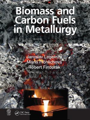 Biomass and Carbon Fuels in Metallurgy - Jaroslav Legemza,Mária Fröhlichová,Róbert Findorák - cover