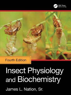 Insect Physiology and Biochemistry - James L. Nation, Sr. - cover