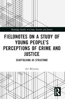 Fieldnotes on a Study of Young People’s Perceptions of Crime and Justice: Scaffolding as Structure - Avi Brisman - cover
