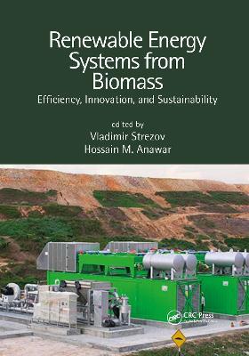 Renewable Energy Systems from Biomass: Efficiency, Innovation and Sustainability - cover