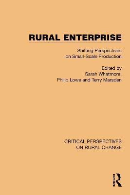 Rural Enterprise: Shifting Perspectives on Small Scale Production - cover
