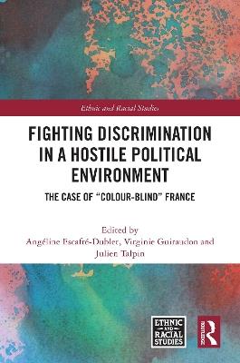 Fighting Discrimination in a Hostile Political Environment: The Case of “Colour-Blind” France - cover