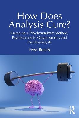 How Does Analysis Cure?: Essays on a Psychoanalytic Method, Psychoanalytic Organizations and Psychoanalysts - Fred Busch - cover